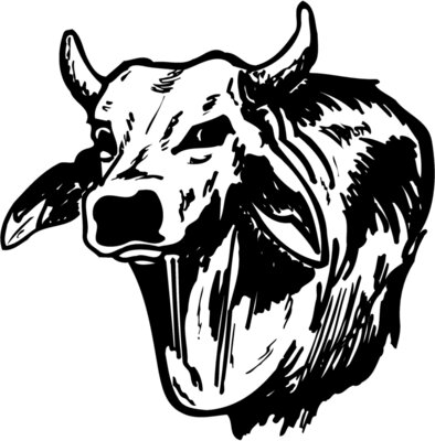 COW005